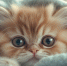 background - Cher-Poisk.Ru