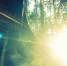 background - Cher-Poisk.Ru