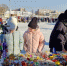 «Фермерский островок» возвращается на площадь Химиков! - Агентство Городского Развития
