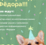 Наш пушистый талисман ТИЦ завтра отмечает День рождения! - Агентство Городского Развития