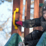 background - Cher-Poisk.Ru