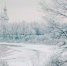 background - Cher-Poisk.Ru
