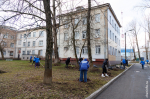 Субботник на территории больницы