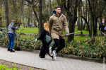 Новости Черинфо