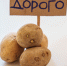 background - Cher-Poisk.Ru