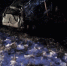 background - Cher-Poisk.Ru