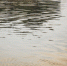 background - Cher-Poisk.Ru