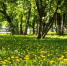 background - Cher-Poisk.Ru