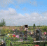 background - Cher-Poisk.Ru