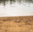 background - Cher-Poisk.Ru