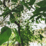 background - Cher-Poisk.Ru