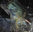 background - Cher-Poisk.Ru