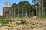 Фото: соцсети Роман Маслов