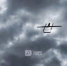 Фото: - Cher-Poisk.Ru