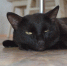 background - Cher-Poisk.Ru