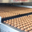 фото rusbiscuit.ru - Cher-Poisk.Ru