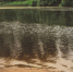 background - Cher-Poisk.Ru