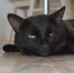 background - Cher-Poisk.Ru