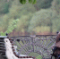 background - Cher-Poisk.Ru