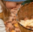 Фото freepik.com - Cher-Poisk.Ru