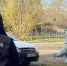 background - Cher-Poisk.Ru