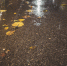 background - Cher-Poisk.Ru