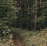 background - Cher-Poisk.Ru