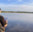 background - Cher-Poisk.Ru