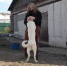 «приют - Город Че