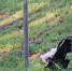 background - Cher-Poisk.Ru