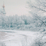 background - Cher-Poisk.Ru