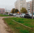 Фото: «Горзеленстрой» - CherInfo.Ru