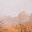 background - Cher-Poisk.Ru