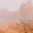 Фото: - Cher-Poisk.Ru