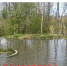 background - Cher-Poisk.Ru