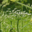 Фото: - Cher-Poisk.Ru
