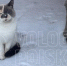 Фото: - Cher-Poisk.Ru