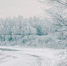 Фото: - Cher-Poisk.Ru