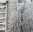 Новости Черинфо - CherInfo.Ru