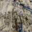 background - Cher-Poisk.Ru