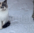 Фото: - Cher-Poisk.Ru
