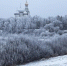 Череповец-Поиск - Cher-Poisk.Ru