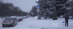 Череповец-Поиск