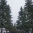 background - Cher-Poisk.Ru