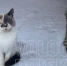 Фото: - Cher-Poisk.Ru