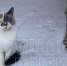 Фото: - Cher-Poisk.Ru