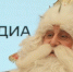 Череповец-Поиск, Тимур Бойков - Cher-Poisk.Ru