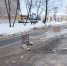 В Череповце ️перекроют водоснабжение зданий у вокзала - Город Че