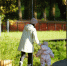 background - Cher-Poisk.Ru