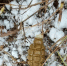 background - Cher-Poisk.Ru